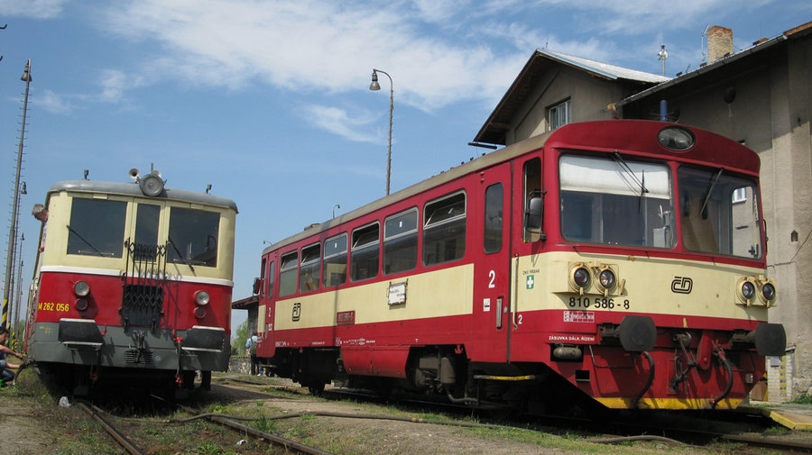 810 586-8